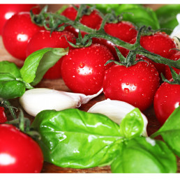 ФотоРучная овощерезка для томатов GGM Gastro